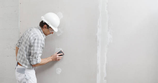Best Dehumidification Services  in Theresa, WI