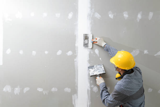 Best Mold Remediation for Healthcare Facilities  in Theresa, WI