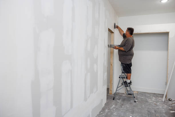 Best Mold Removal for HVAC Installations  in Theresa, WI