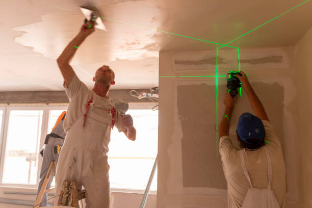 Best Mold Odor Removal Services  in Theresa, WI