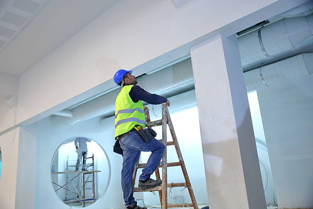 Best Biohazard Mold Removal  in Theresa, WI
