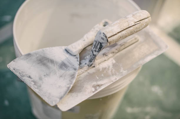 Best Basement Mold Removal  in Theresa, WI